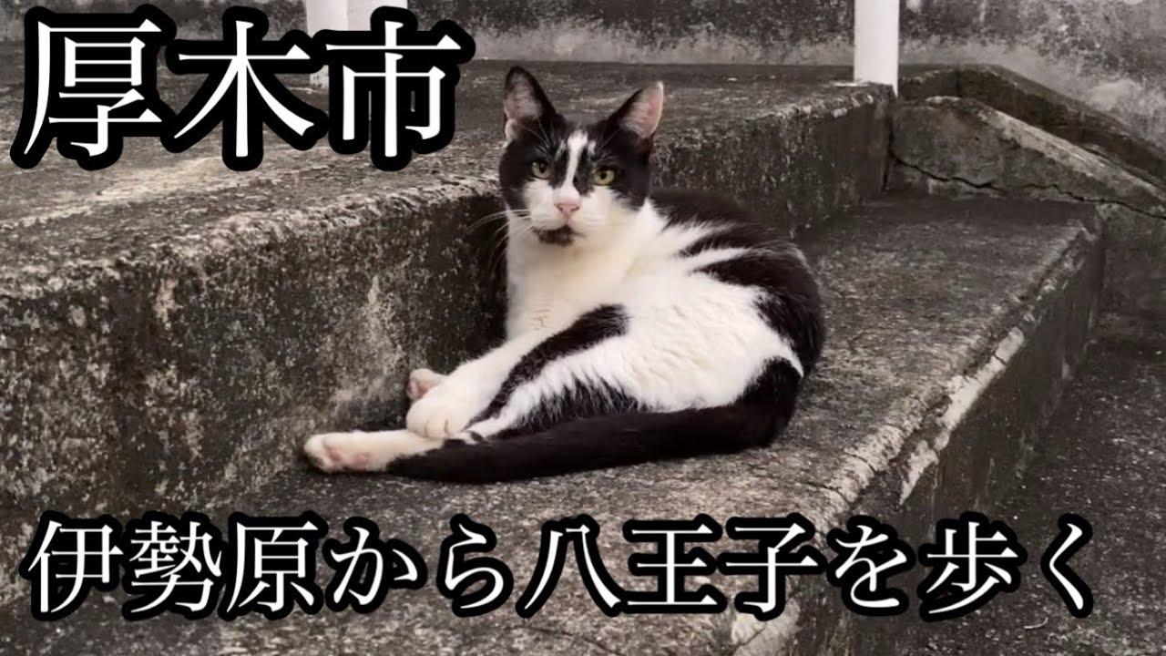 伊勢原市から八王子市へ、狂気の深夜歩行35kmの旅【厚木市経由】