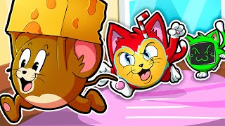 We Became Cats To Chase Down Mice