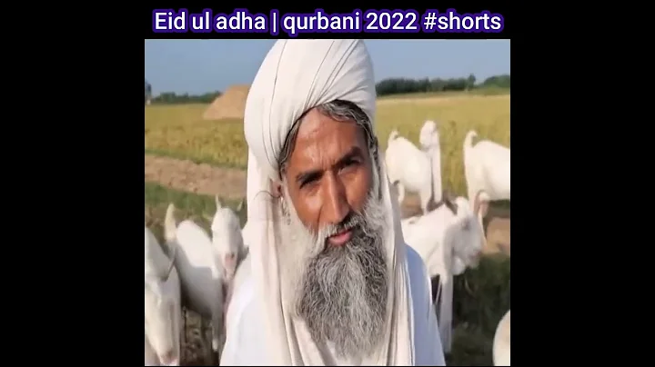 Eid ul adha | Expensive bakra in Pakistan #shorts