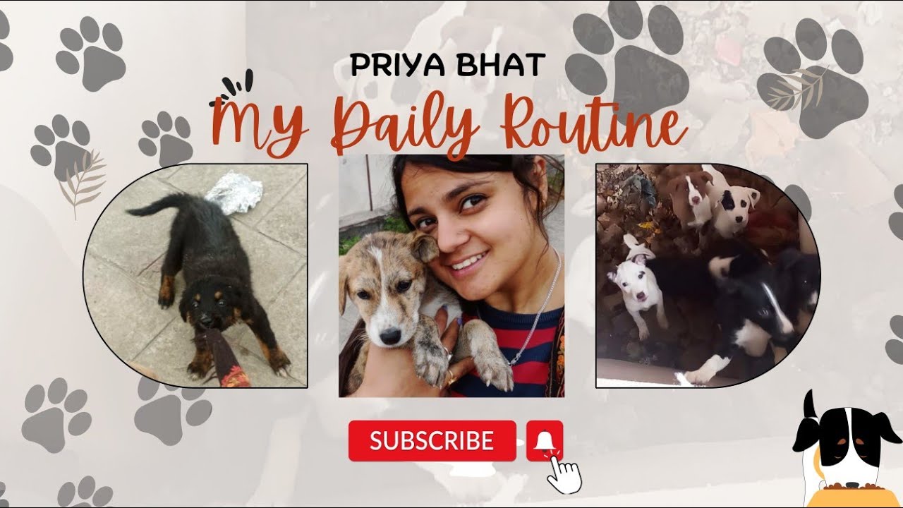 My daily routine❤✨|Jammu and Kashmir|Priya bhat.