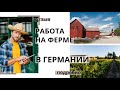 Работа в Германии на ферме! Честный отзыв нашего клиента Сергея!