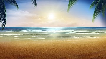 Beautiful beach in summer sunny white clouds and palm trees beach video background