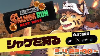 【サーモンランNW/参加型/どんぴこ】和傘使い倒しちゃお！！！【樫城槌/Vtuber】