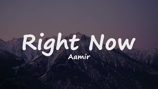 Video thumbnail of "Aamir - Right Now Na Na Na Lyrics (Akon)"