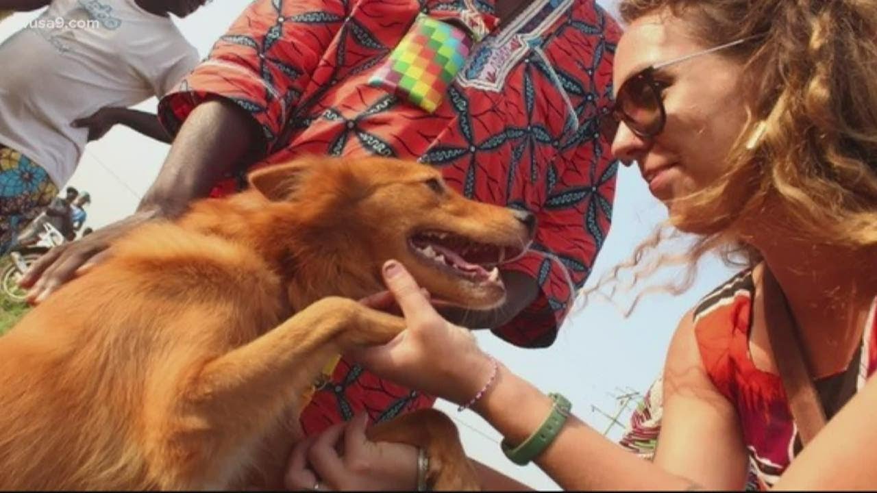 US Peace Corps member fights government's efforts to deport her dog to