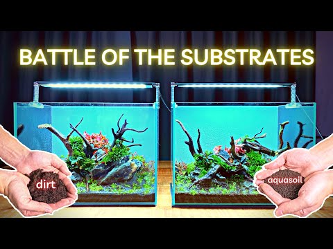 MY FIRST EVER DIRTED TANK! AQUASOIL VS DIRT! WHO&rsquo;S GOING TO WIN??