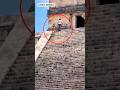 ⚠️😳 ¡Está prohibido! Extranjeros suben a pirámide de Chichén Itzá 😠😡 #shorts #viral #chichenitza