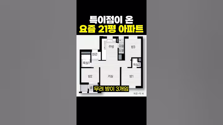 특이점이 온 요즘 21평 아파트.jpg