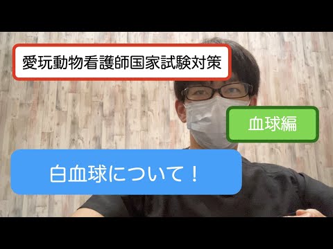 動物看護国家試験対策2『血球編②』５種類の白血球