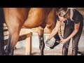 Million Dollar Horse Shoeing Process | Amazing Iron Horseshoe Fitting Skills | Factory Business Vide