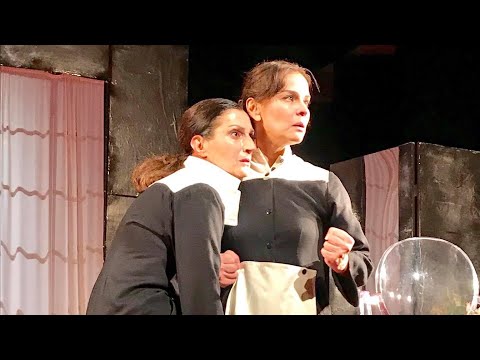 მოახლეები