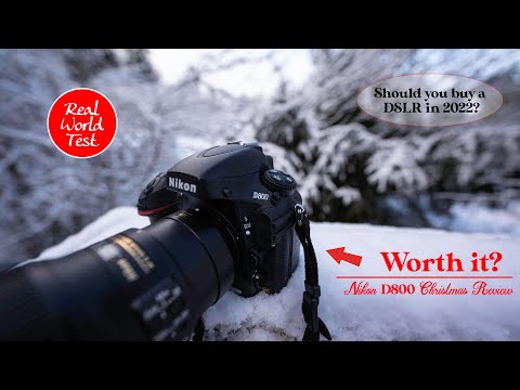 Nikon D800 Real World Review - Worth buying in 2022?