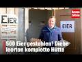 500 Eier gestohlen! Diebe leerten komplette Hütte  | krone.tv NEWS