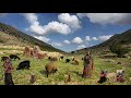 Nomadic Life:Zagros Nomad Girls Traditional Cooking and Life in Wild Mountains Milking goats