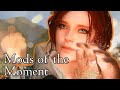 Adopt cats! Play as Triss! Immersive Fort Dawnguard ⚔ Skyrim Mods of the Moment 2