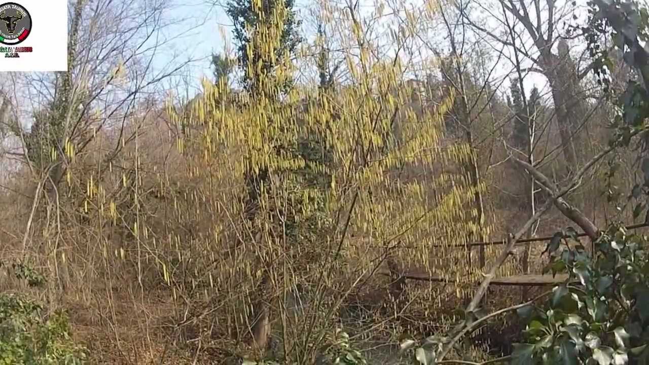 BRIGATA TAURUS ACTION CAMERA AURA