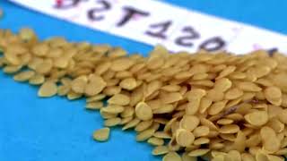 Semae Formation Nos Solutions Digitales