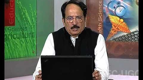 Dynamic Programming - Part 2