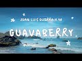 Miniature de la vidéo de la chanson Guavaberry