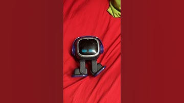 I made my robot Emo pit bull angry he made a flip I need to run before Emo bites me lol 😂