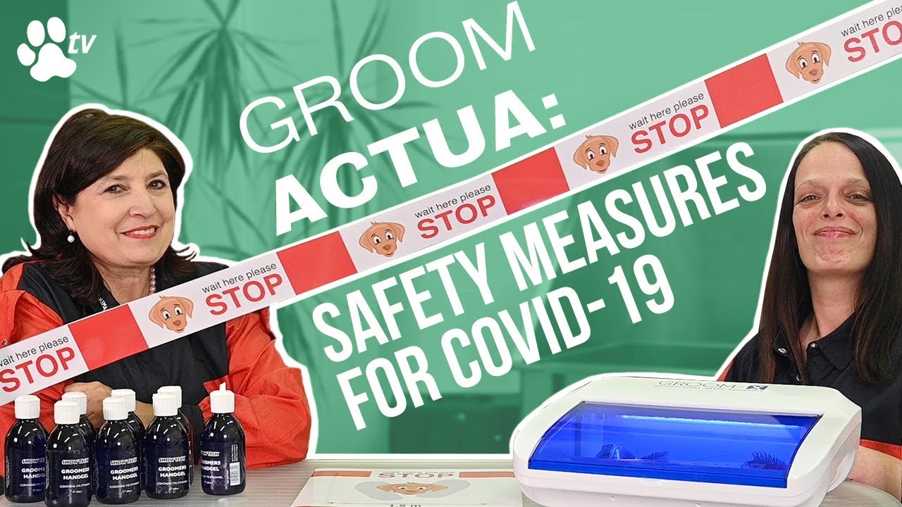 Safety measures for Covid-19 at your dog grooming shop | Groom Actua - TRANSGROOM