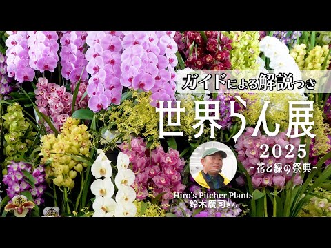 【初心者必見！】世界らん展2025：ガイドツアーに参加！見どころを解説【字幕（CC）ON】