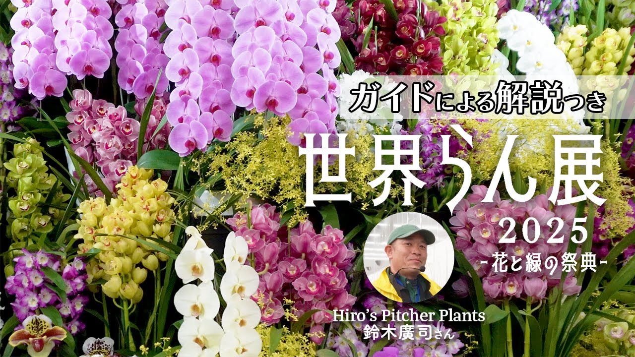 【初心者必見！】世界らん展2025：ガイドツアーに参加！見どころを解説【字幕（CC）ON】