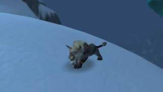 cat idle animations