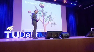 Challenges for Visual Analytics, Eurographics 2018 Keynote by Jarke van Wijk