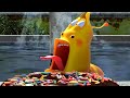 LARVA -DONUT| Christmas Cartoon | Cartoons | Comics | Larva 2017 | LARVA Official