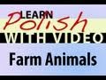 Learn Polish with Video - Farm Animals