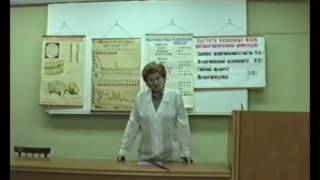 Левина Лидия Дмитриевна - менингококковая инфекция (2001)