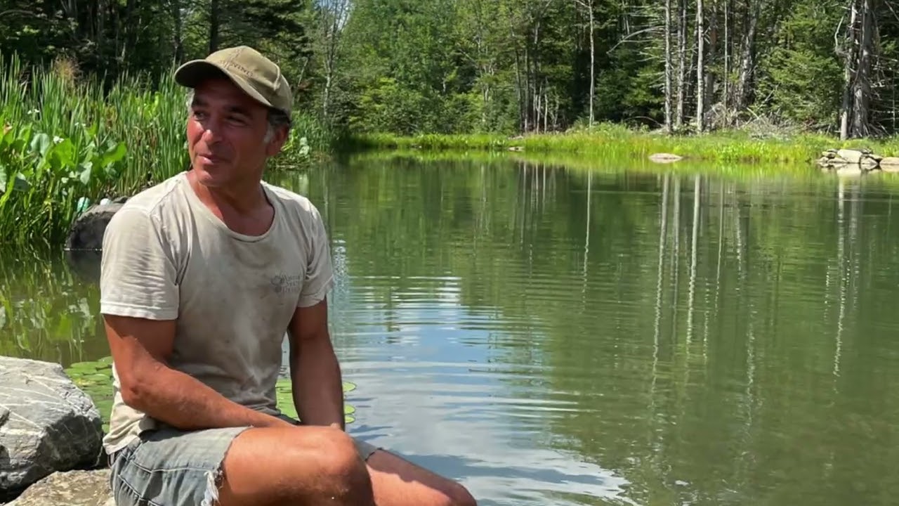 Permaculture Pond Course Masterclass Overview