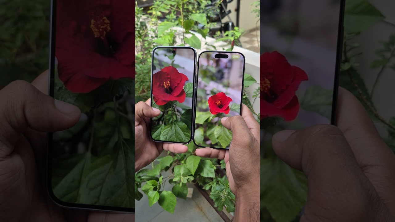 Google Pixel 10 vs iPhone 17 | Camera Test for Portrait Mode 