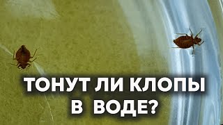 :     ?