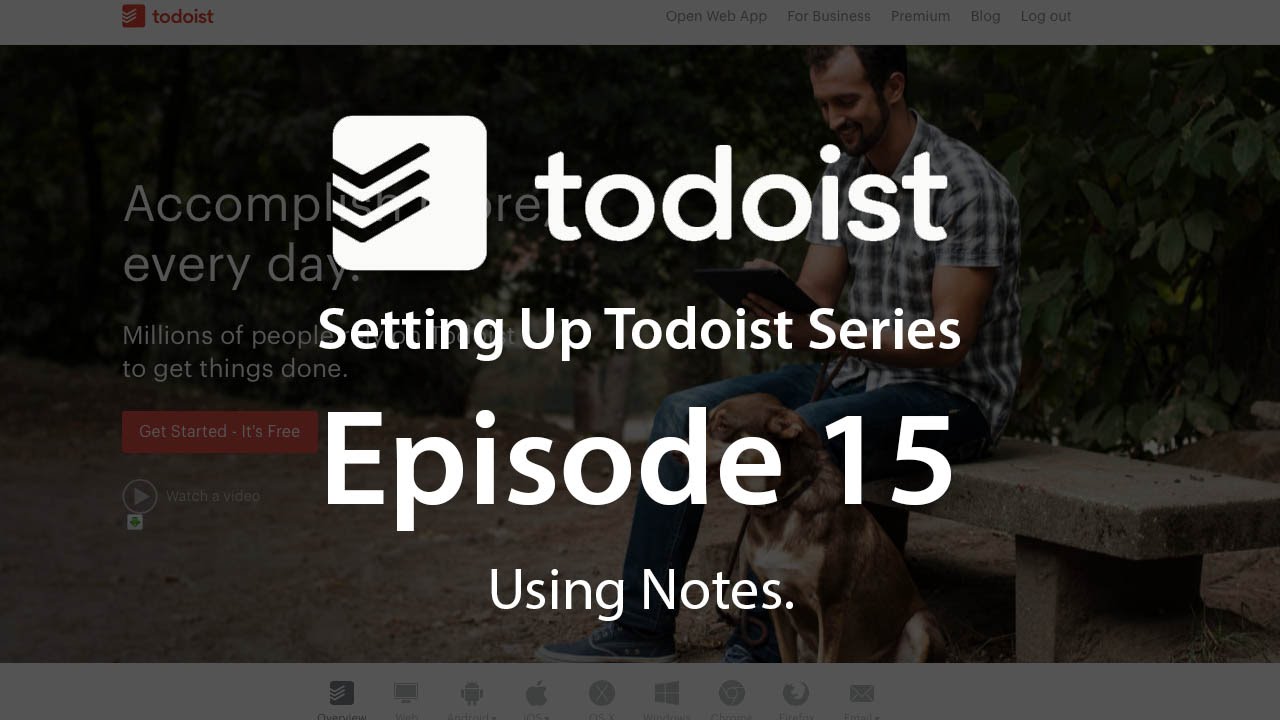 Setting Up Todoist: Ep 15 - Using Notes