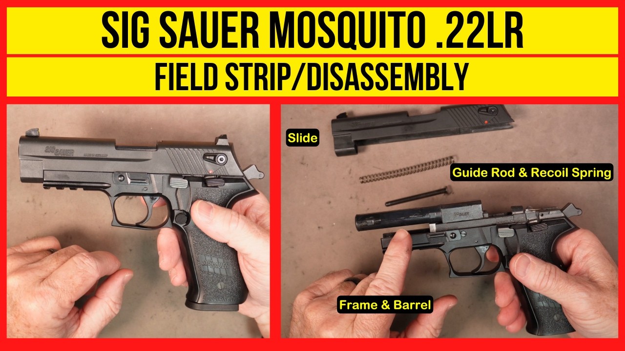 Moskit Lr SIG Mosquito .22 LR Pistol Field Strip (disassembly) for Cleaning - YouTube