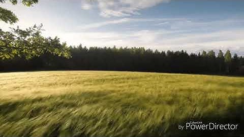 تلاوة صباحية هادئة تريح النفس وتبعث السكينة والطمانينة في القلب بآيات من القرآن الكريم   YouTube