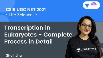 Transcription in Eukaryotes - Complete Process in Detail |🎯for CSIR NET 2021 by Shail Jha