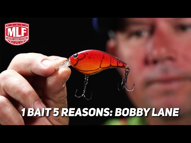 1 Bait, 5 Reasons: Bobby Lane 
