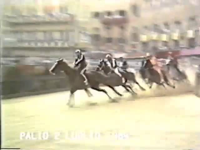 Palio 2 luglio 1984