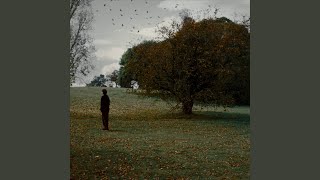 I Would Have Told You - Fallweather