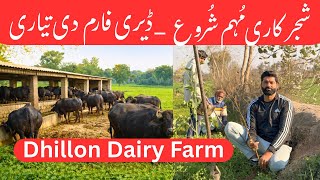Download Lagu Tree Plantation Campaign | Dairy Farm Construction Progress | Nasir Dhillon MP3
