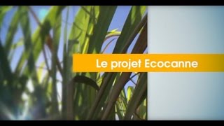 Le projet Ecocanne [Terres d'ici - Antenne Réunion]