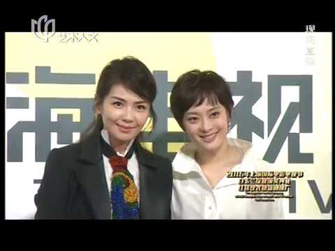 2016.06.10 第22屆上海白玉蘭電視節頒獎典禮紅地毯 劉濤 孫儷