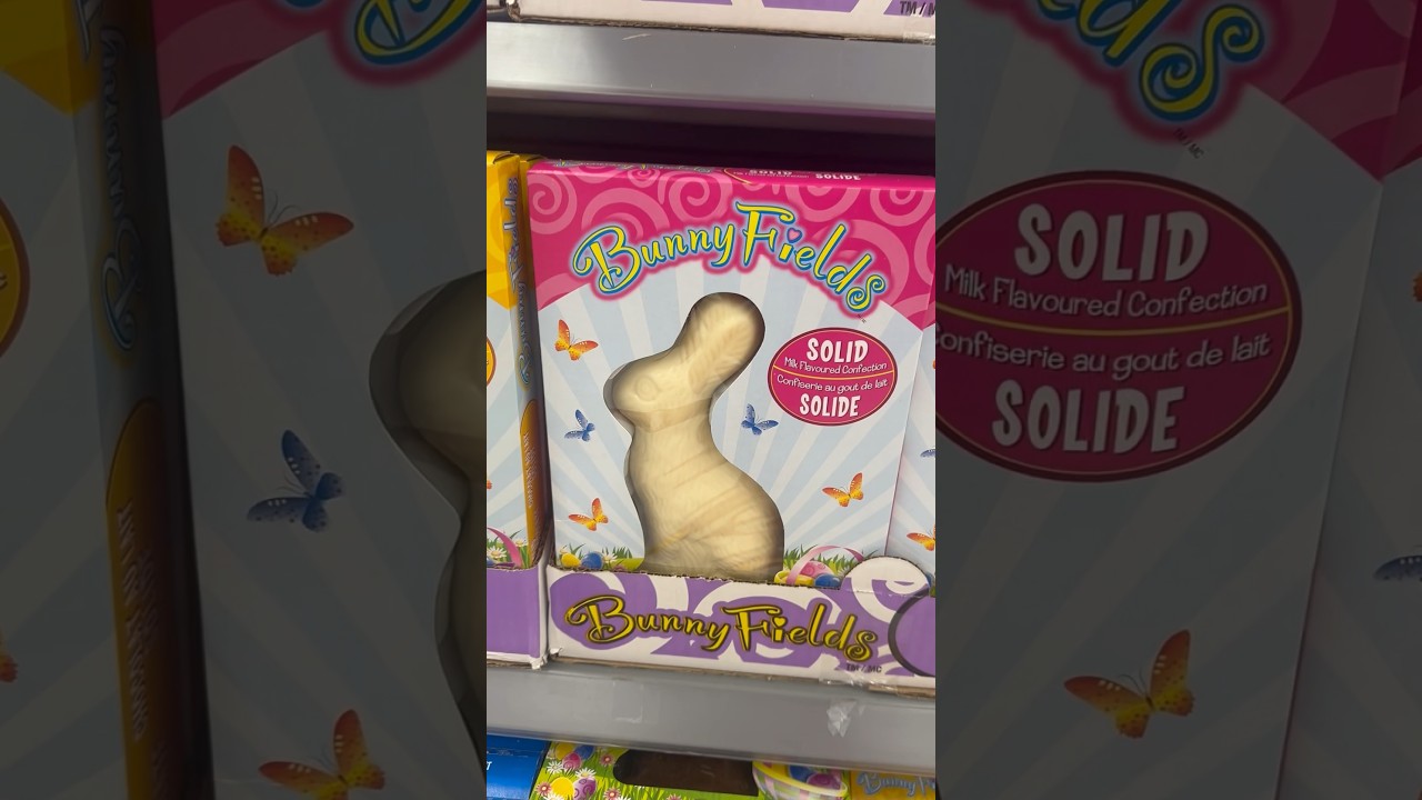 Chocolate bunny 