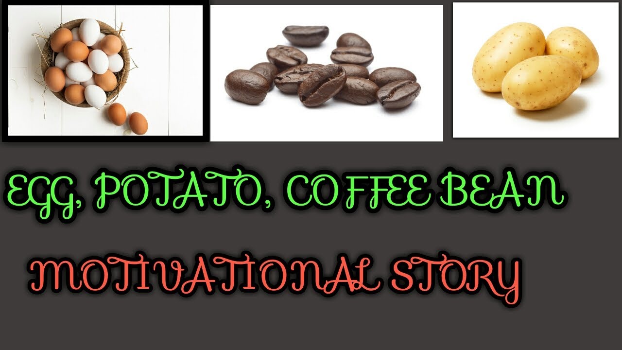 Potato,egg & coffee bean A motivational story for a life YouTube