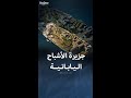 جزيرة هاشيما اليابانية التي تحولت لمنطقة أشباح جزيرة هاشيما اليابانية التي تحولت لمنطقة أشباح
