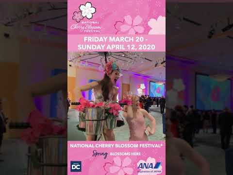 National Cherry Blossom Festival Metro ad