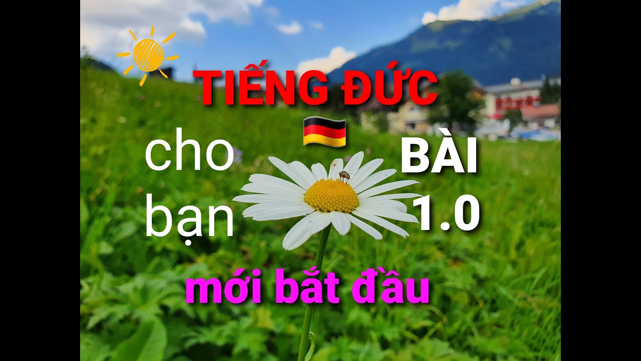 Sách tự học tiếng đức cho người mới bắt đầu | 🇩🇪 DEUTSCH lernen, für Anfänger, học tiếng Đức, cho người MỚI BẮT ĐẦU, Lektion 1.0, BÀI 1.0🌍